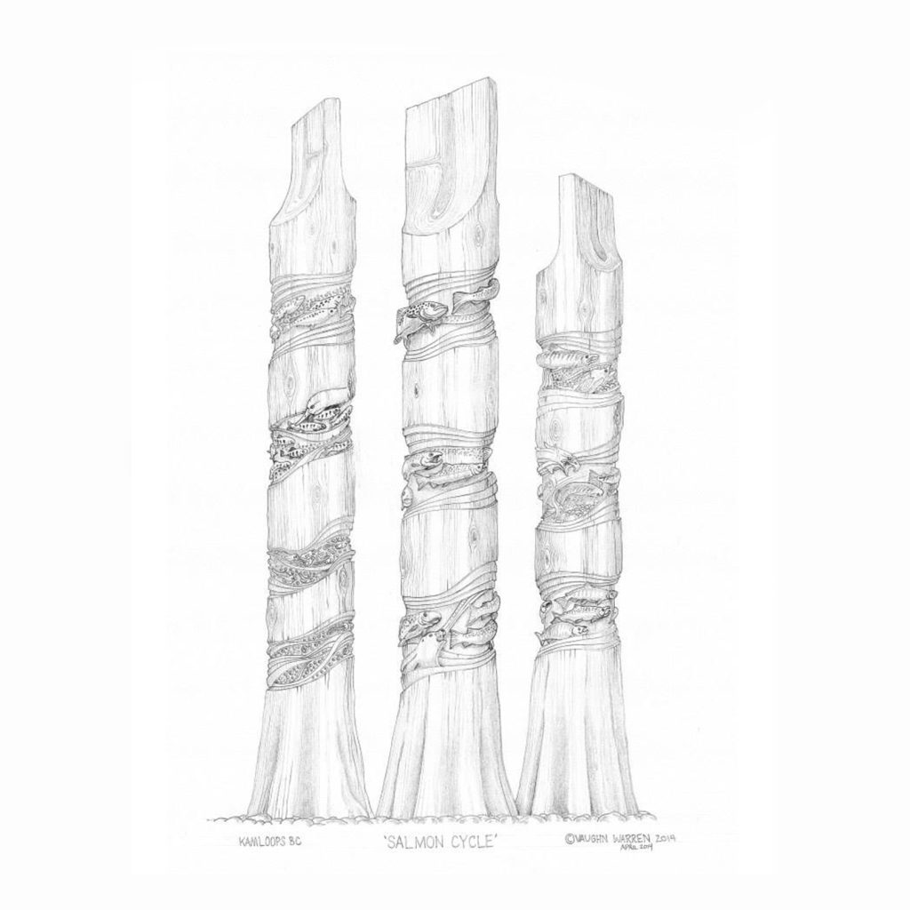 Vaughn Warren Salmon Cycle