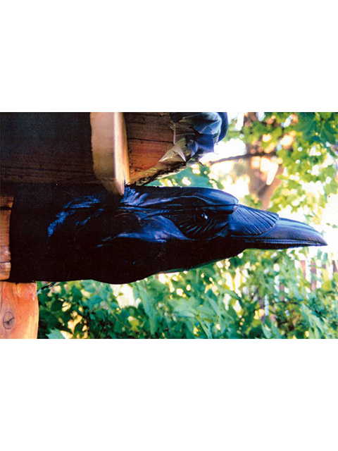 Raven 12"x12"x40", cedar beam end 
Kamloops, British Columbia